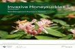 Best Management Practices in Ontario · 2016-06-29 · Best Management Practices in Ontario 3 Invasive honeysuckles Amur Honeysuckle (Lonicera maackii)Photo courtesy of John M. Randall,