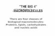 There are four classes of biological macromolecules ...aaitken.weebly.com/uploads/5/5/7/4/55745595/macromolecules_ala.pdfLIPIDS ARE NEXT They are a great source of STORED ENERGY so