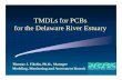 TMDLs for PCBs for the Delaware River Estuary · TMDLs for PCBs for the Delaware River Estuary Thomas J. Fikslin, Ph.D., Manager Modeling, Monitoring and Assessment Branch. Delaware