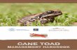 CANE TOAD - Rangelands NRM · Cane toad skin is dry and warty, rather than moist and slippery like the skin of many native frogs. It is usually a dull brownish colour. The big glands