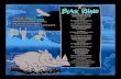BLACK RHINO BLACK RHINO SPEEDY SPEEDY RUN RUN effetti sonori: paolo conte canzone composta dal maestro