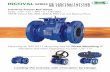 Series 65 Ball Valve · temperature ratings as specified in ASME B 16.34, BS EN 12516-1. Temperature Limits . Pressure Temperature Rating: z 2500 172 Class 900 2000 138 1500 Class