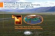 Fueling Extinction: How Dirty Energy Drives Wildlife to ... · Fueling Extinction: How Dirty Energy Drives Wildlife to the Brink. The Top Ten U.S. Species ... ExxonMobil, Chevron,