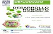 DIPLOMADO - Industria Farmacéutica Veterinariainfarvet.org.mx/wp-content/uploads/2017/09/Diplomado-DRM... · 2017-09-04 · Químico Farmacéutico Biólogo egresado de la FES Cuautitlán