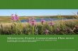 Minnesota Prairie Conservatin Plan 2010 - Home | NRCS · The Minnesota Prairie Plan Working Group established organizational goals and cost estimates associated with these outcomes.
