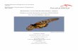 Butterflies of the Nimba Mountains, Liberia Report on the .../media/Files/A/... · Biodiversity Conservation Programme, 2011-2015 Butterflies of the Nimba mountains, Liberia: Report