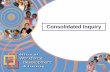 Consolidated Inquiry - Consolidated Inquiry . Consolidated Inquiry Overview . The Consolidated Inquiry