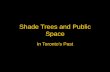 Shade Trees and Public Space - York University trees and public space.pdf · Public Space • The city’s most characteristic type of space • Accommodates the public • May be