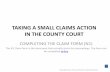 TAKING A SMALL CLAIMS ACTION IN THE COUNTY COURT · will then not return you to the last page that you viewed – you will need to return to the guide [s home page to select the part