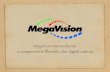 MegaVision Monochrome a comparison to ﬁlm and color digital … Mono Presentati… · MegaVision MonoChrome E3, E427, E4. In Section 1, we’ll take a look a the compromises of