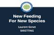 New Feeding For New Species - Global Aquaculture Alliance · 2019-09-19 · –Dry / soft consistency ... • Over 500 raw materials tested for composition and digestibility • Effect