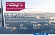 Global Risk Dialogue - Sonho Seguro...companies with a turnover in excess of €70m, typically those with multi-national operations extending beyond the country. The opening of the