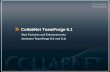 CollabNet TeamForge 6 · 2013-12-14 · Why CollabNet TeamForge 6.1: Engage the Enterprise Engage the Enterprise with CollabNet TeamForge 6.1 • Scale for the enterprise • High