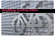 Enabling Cycling Cities - European Commission · authorities, particularly policy executives and city planners, with a limited number of no-frill and evidence-based facts that could