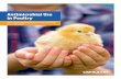 Antimicrobial Use in Poultry · 2019-08-05 · U.S. Poultry & Egg Association Antimicrobial Use in Poultry, 2013–2017 Report | 5 Conclusion This report documents that the poultry