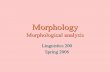 Morphology - University of Washingtoncourses.washington.edu/lingclas/200/Lectures/Core/Morphology/morph1.pdfRoot vs. affix morphemes Roots meaning: contains major (referring, lexical)