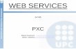 Web Services PXC - UPC Universitat Politècnica de Catalunyadocencia.ac.upc.edu/FIB/PXC/transpas/WebServices[Grup32... · 2007-03-06 · Web services may suffer from to other distributed