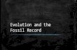 Evolution and the Fossil Record - Mrs. Brunetto ... Fossils and Ancient Life The fossil record provides