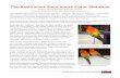 The Red Factor Sun Conure Color Mutation The Red Factor Sun Conure Color Mutation.pdf · The Red Factor Sun Conure Color Mutation 3 offspring results, the color so far is always indicative