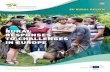 RURAL RESPONSES TO CHALLENGES IN EUROPE · RURAL RESPONSES TO CHALLENGES IN EUROPE ISSN 1831-5321. European Network for Rural Development The European Network for Rural Development