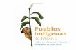 Pueblos indígenas de México...Este libro trata de la vida y las culturas de los pueblos indígenas, grupos de mexicanos que son parte muy importante de México y que han formado