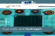 Fuel Cells and Hydrogenpublications.jrc.ec.europa.eu/repository/bitstream... · Level Group on Hydrogen and Fuel Cells, comprising top level representatives from major EU automotive