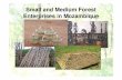 Small and Medium Forest Enterprises in Mozambique · Types of Forest Products And Market • The main timber products include sawn timber, railway sleepers, poles, parquet blanks,