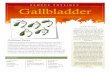 REMEDE PHYSIQUE Gallbladder · 2015-01-24 · REMEDE PHYSIQUE 4 Treatment Summary not to be undertaken without supervision from a qualified health care practitioner Surgery Doesn’t