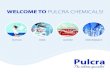 WELCOME TO PULCRA CHEMICALS! · 2017-09-04 · Pulcra Chemicals is a leading developer and manufacturer of innovative specialty chemicals for the fiber, textile and leather industries.