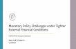 Monetary Policy Challenges under Tighter External …...Policy challenges • External Risks and Policy Challenges –First line of defense: Exchange rate flexibility but there are