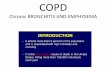 COPD Chronic BRONCHITIS AND EMPHYSEMA2Defined as a chronic productive cough for in each of in a patient in whom other causes of chronic cough have been excluded . ... cough, and sputum