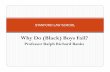 Why Do (Black) Boys Fail? - Stanford University...Why Do (Black) Boys Fail? Professor Ralph Richard Banks STANFORD LAW SCHOOL