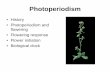 Photoperiodism - Western Oregon Universitywou.edu/~guralnl/gural/330Photoperiodism.pdf · • Photoperiodism and flowering • Flowering response • Flower initiation • Biological