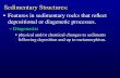 Features in sedimentary rocks that reﬂect depositional or … · 2015-03-20 · Sedimentary Structures:! • Features in sedimentary rocks that reﬂect depositional or diagenetic