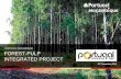 PORTUCEL MOZAMBIQUE FOREST-PULP INTEGRATED …PORTUGAL EXPORTADOR | Forest-Pulp Integrated Project | 2 PORTUCEL MOZAMBIQUE project overview Project’s key figures (estimates) 356,000