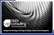 Management Consulting | Technology Consulting | Business ... · delivering financial and accounting transformation ... Leasing and Asset Finance and other Financial Services providers.