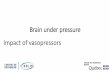 Brain under pressure Impact of vasopressors · 2019-09-27 · the effect of MAP correction, for example, by administering vasopressors, on alterations of microvascular flow, oxygenation,