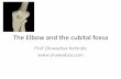 The Elbow and the cubital fossa - oluwadiya.com limbs/6 The Elbow diya.pdfThe Elbow and the cubital fossa Prof Oluwadiya Kehinde