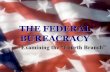 THE FEDERAL BUREACRACY - BlaseWeb.com · Federal Courts Check the Bureaucracy Federal courts can: •through judicial review rule on whether the bureaucracy has acted within the law