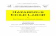 Hazardous Child Labor · 2018-06-05 · Child Labor Module Series UI Center for Human Rights Child Labor Research Initiative Hazardous Child Labor by Lois Crowley and Marlene Johnson