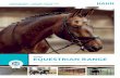hanit EQUESTRIAN RANGE...HAHN for equestrian - FAQ 4–5 Products 6–7 Stable board 8–9 Paddock Slab 10–11 Hanpave® 12 Heavy Duty Ground Grid 12 U-profile edging 13 Standard