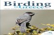 Birding - SEO · Birding. in. Greece. Birding in Greece. Greece’s geographical location in south-eastern Europe, at the crossroad of three continents, the climate and the intense