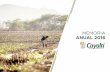 MEMORIA ANUAL 2016 - Cayaltícayalti.com.pe/.../docs/memoria_anual_cayalti_2016.pdf · 2019-03-20 · 10 Memoria Anual 2016 / Empresa Agroindustrial Cayaltí S.A.A. 1.2 Constitución