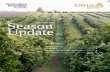 Season December 2016 Update - Citrus Australia€¦ · December 2016 . Page 2 of 11 Season Update is facilitated by HIA in partnership with ... Evaporation and irrigation Average