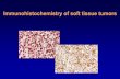 Immunohistochemistry of soft tissue tumors · • Panel of markers ... Nervous and melanocytic T Muscle tumors Myofibroblastic lesions Numerous tumors. Immunohistochemistry of soft
