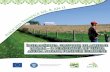 ÎNSEMNĂTATEA GRUPULUI DE ACȚIUNE LOCALĂ – O … · măsuri/instrumente/procese relevante pentru dezvoltarea rurală durabilă. ... ale Politicii Agricole Comune, legate de securitatea