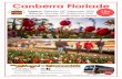 Departs: Saturday 26 September 2020 Returns: Monday 28 ...kingscoaches.com.au/wp-content/uploads/2019/10/Canberra-Floriade-2020.pdfCanberra Floriade is a celebration of Spring and