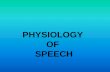 PHYSIOLOGY OF SPEECH...speech Lesion of Wernicke area Broca aphasia Motor, nonfluent restricted speech (less complex speech) Disturbed grammar - „telegraphic speech“ Also written,