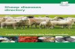 Sheep diseases directory - AHDB Beef & Lamb...Sheep diseases directory The technical information in this booklet was supplied by The Moredun Foundation and compiled by Katie Brian,