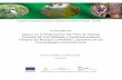 Consultoría: Apoyo en la Elaboración del Plan de Manejo Forestal …clifor.hn/wp-content/uploads/2016/07/Informe-Final... · 2017-07-28 · INFORME FINAL Consultoría: “Apoyo